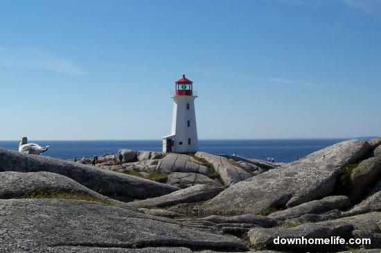 Main Gallery Display