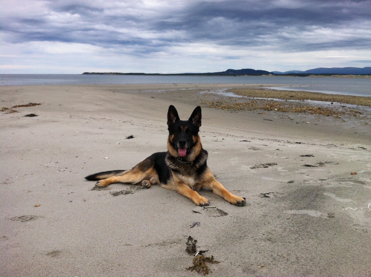 Main Gallery Display