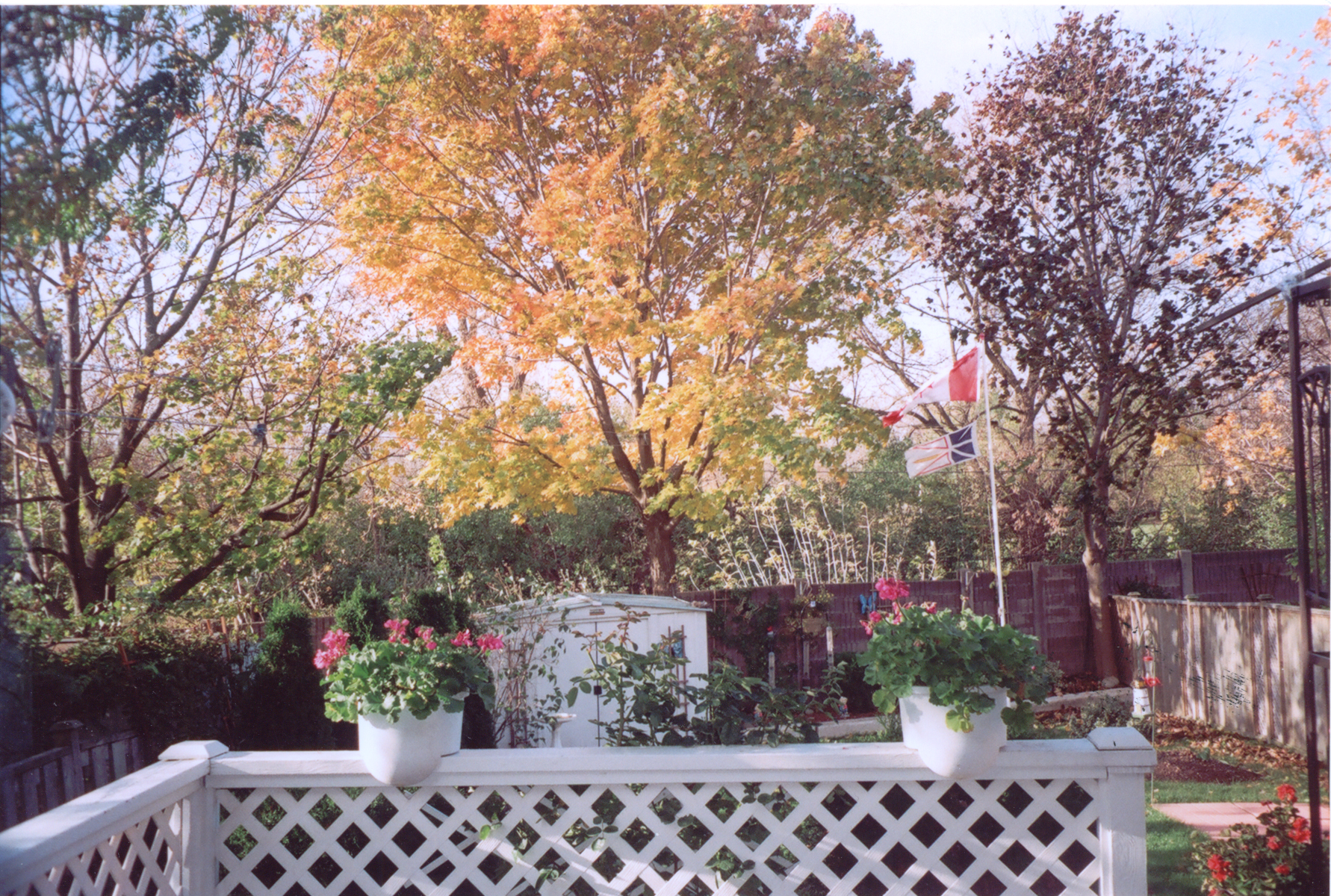 Main Gallery Display