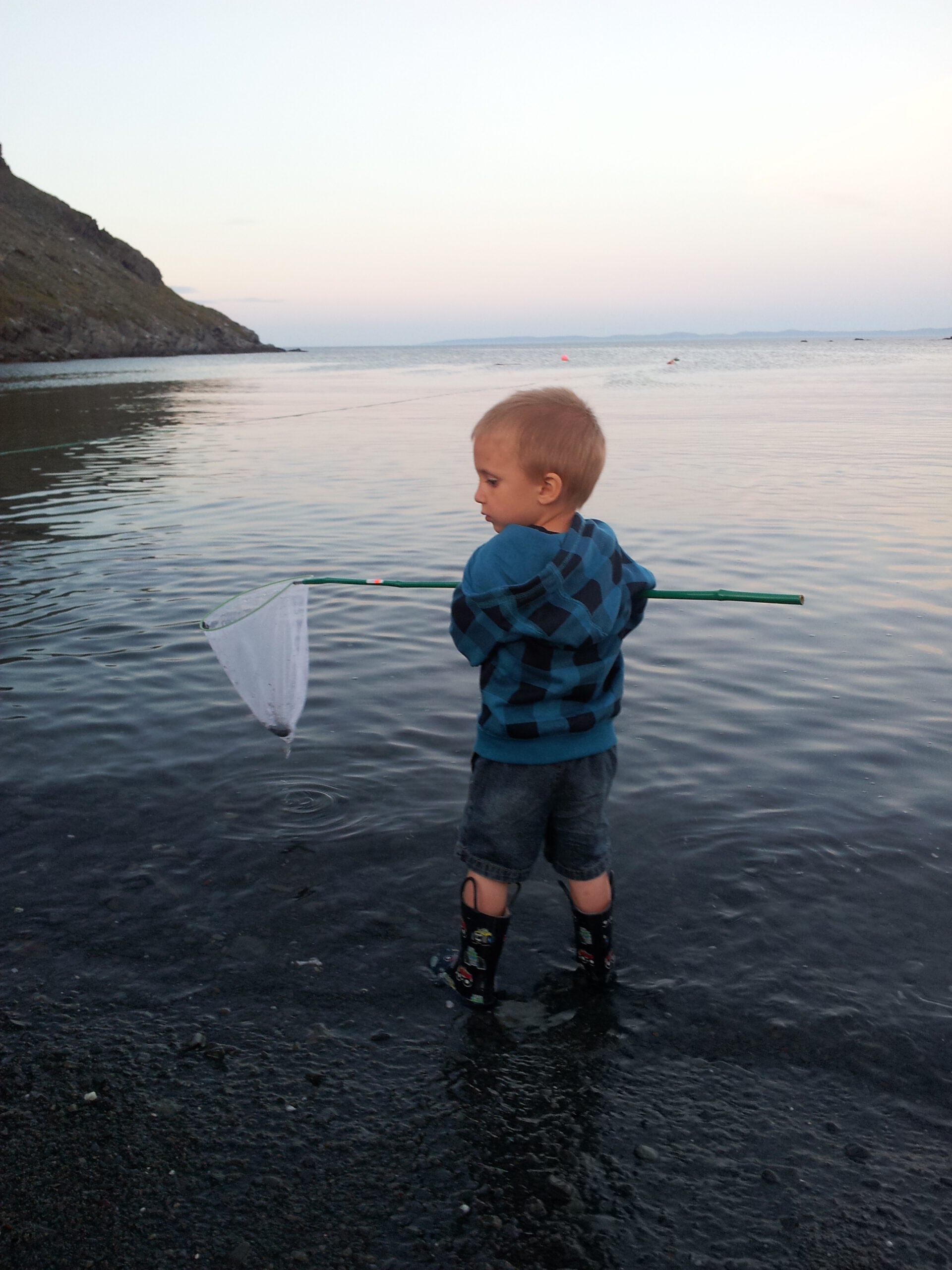 Main Gallery Display