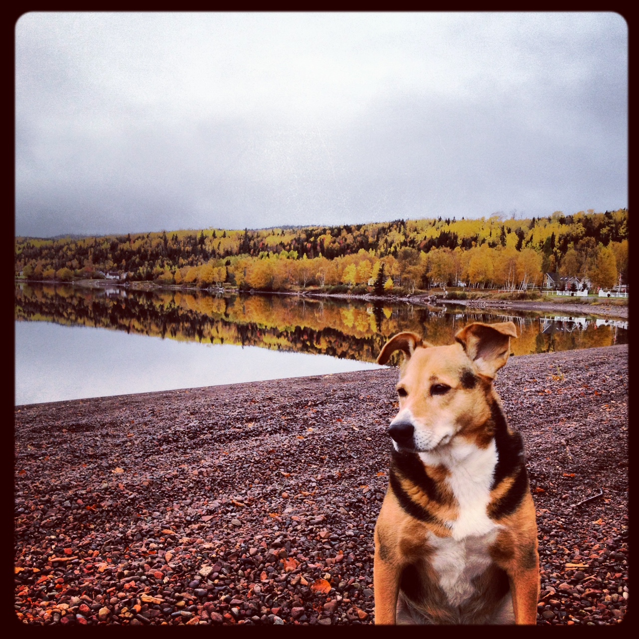 Main Gallery Display