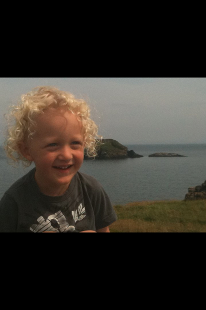 Main Gallery Display