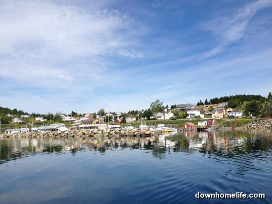 Main Gallery Display