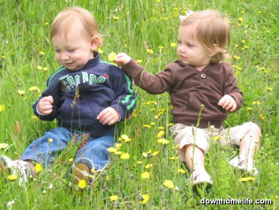 Main Gallery Display