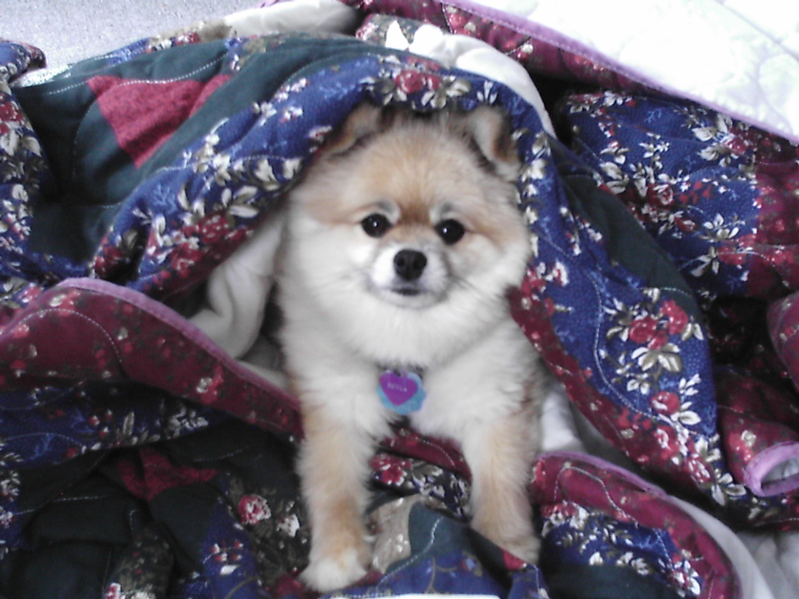 Main Gallery Display