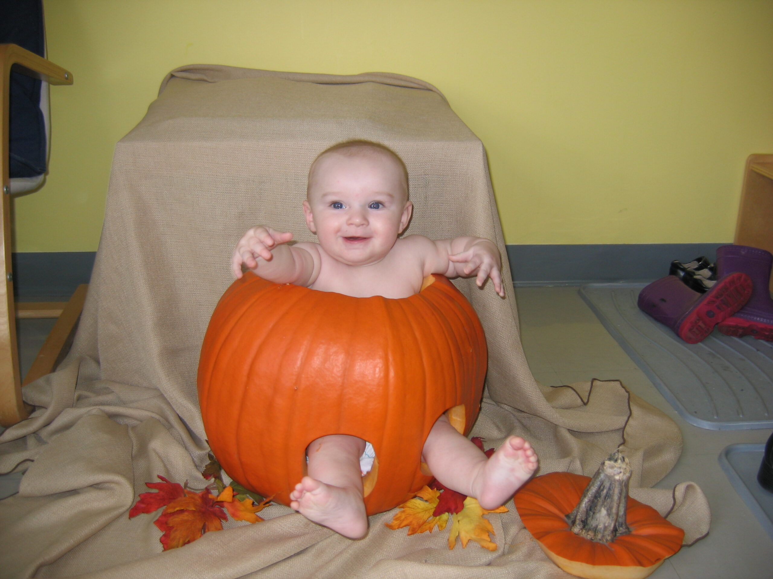 Main Gallery Display