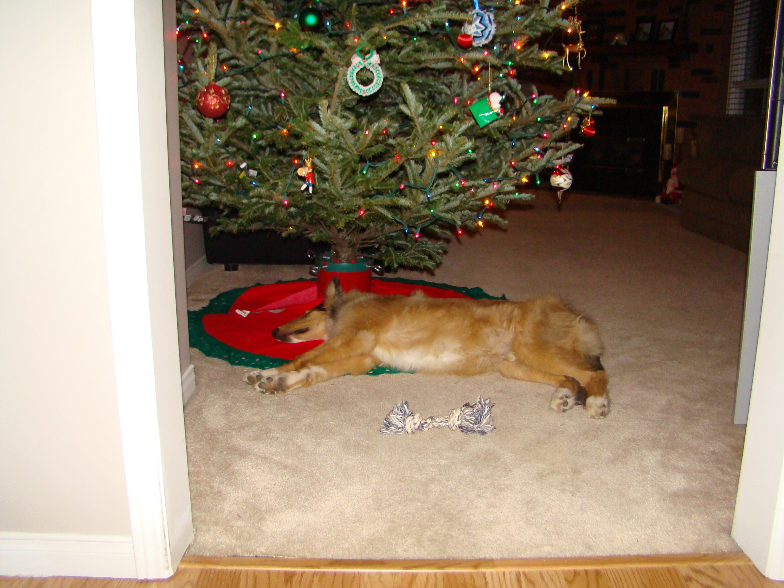 Main Gallery Display