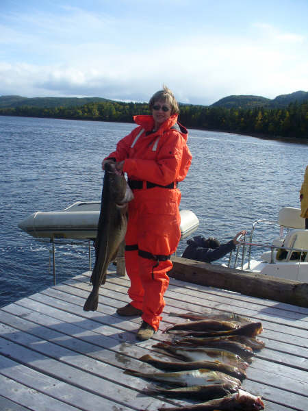 Main Gallery Display
