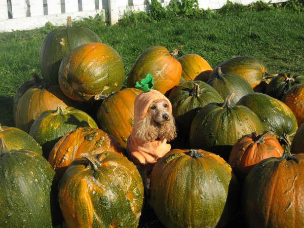 Main Gallery Display