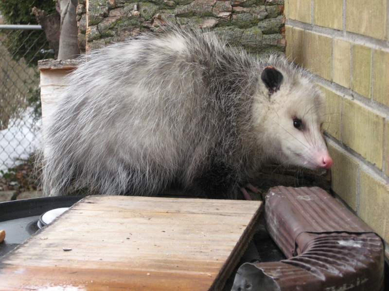 Main Gallery Display