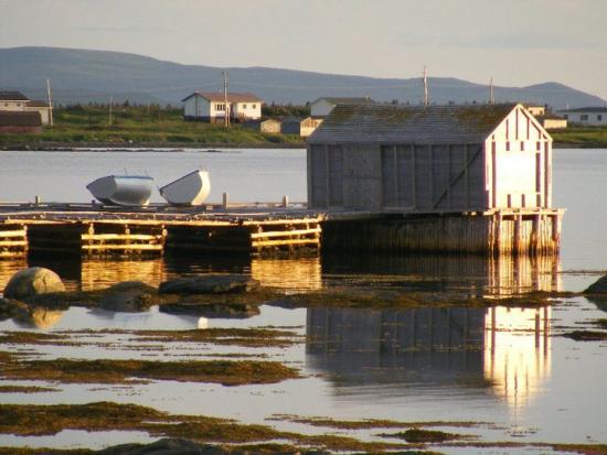Main Gallery Display