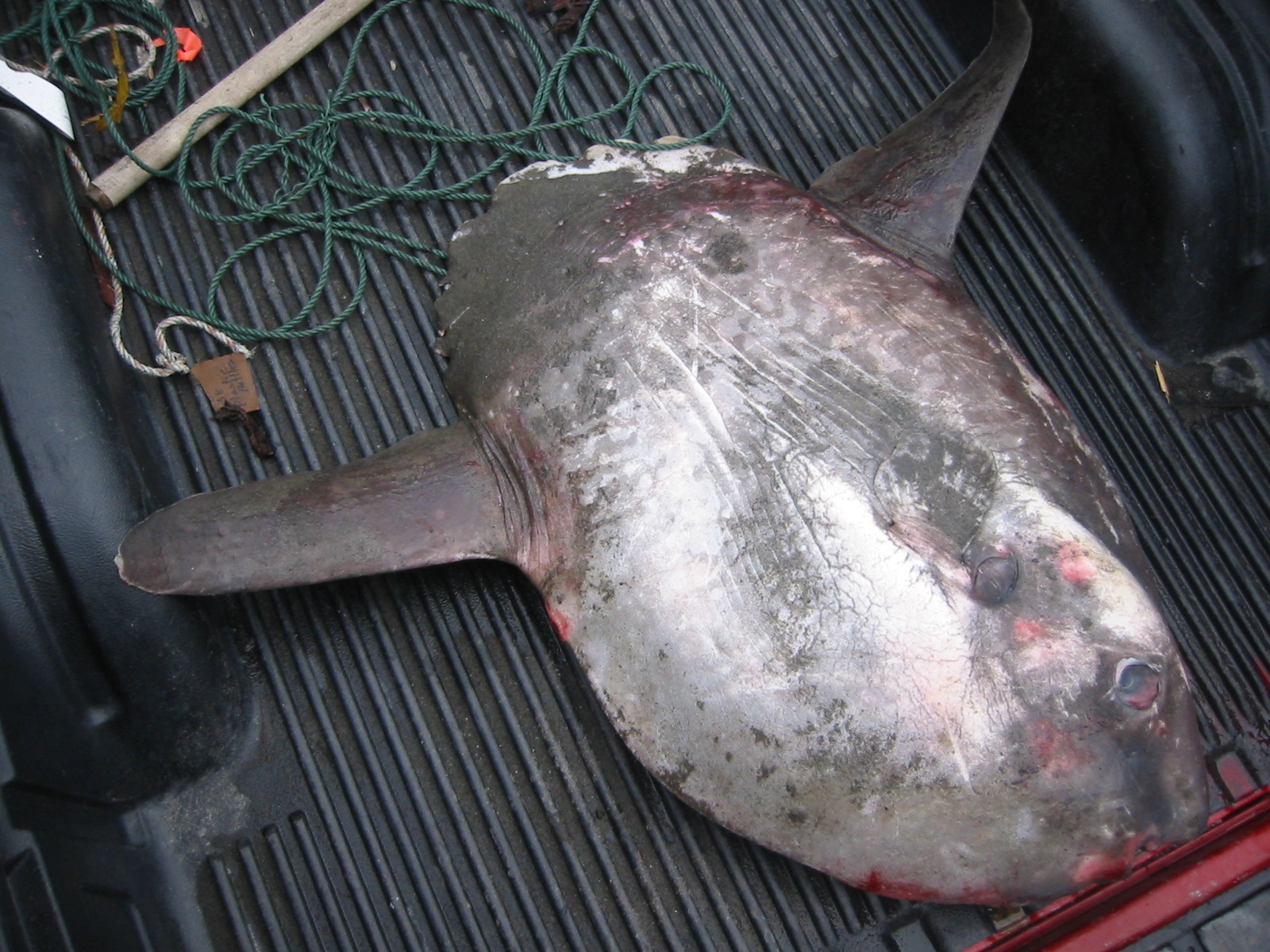 Main Gallery Display