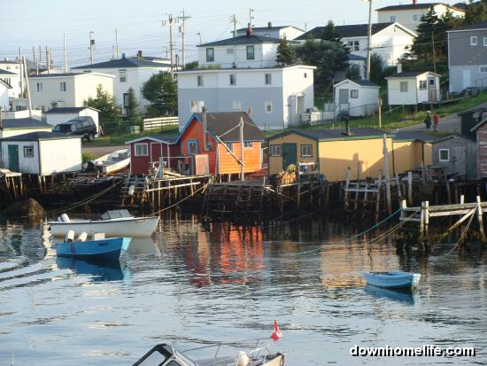 Main Gallery Display