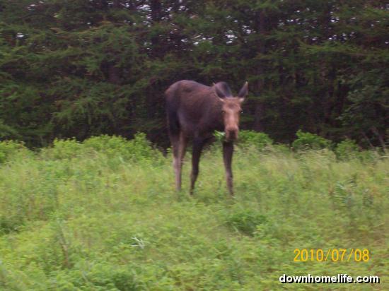 Main Gallery Display