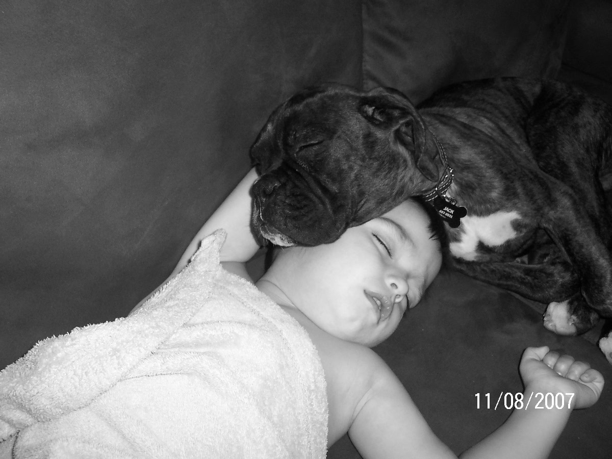 Main Gallery Display