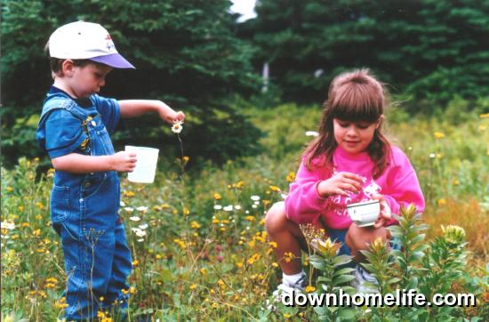 Main Gallery Display