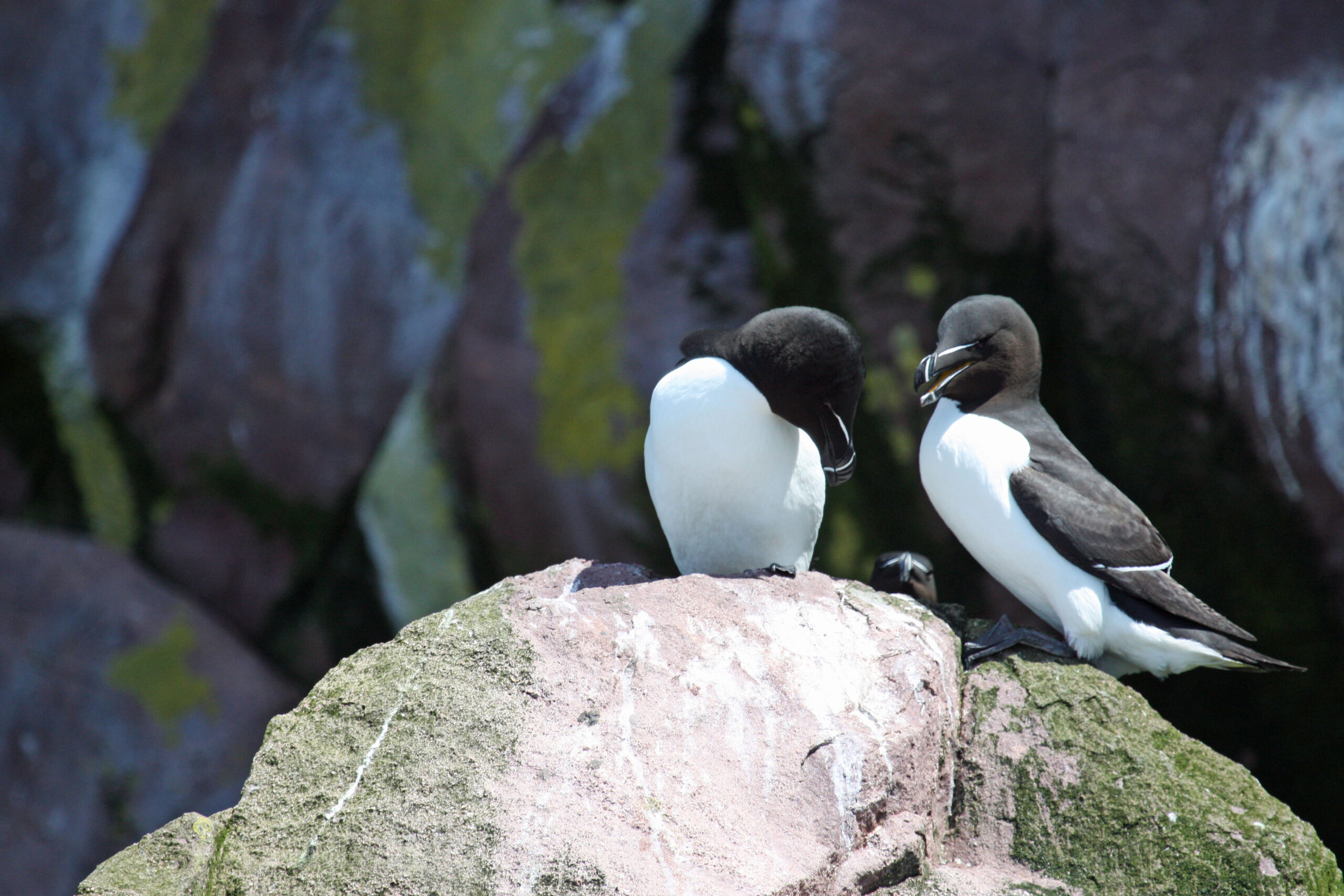 Main Gallery Display