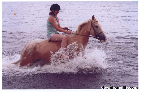Main Gallery Display