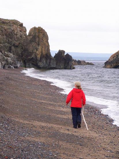 Main Gallery Display