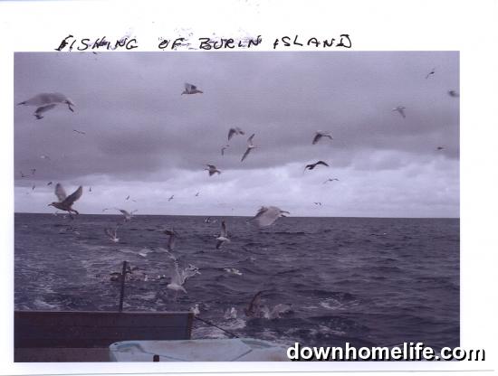 Main Gallery Display