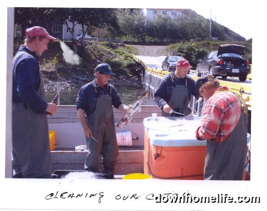 Main Gallery Display