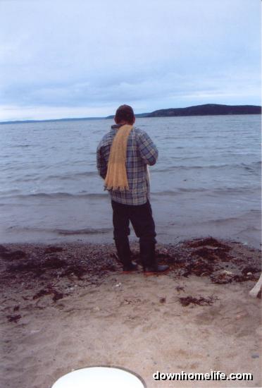 Main Gallery Display