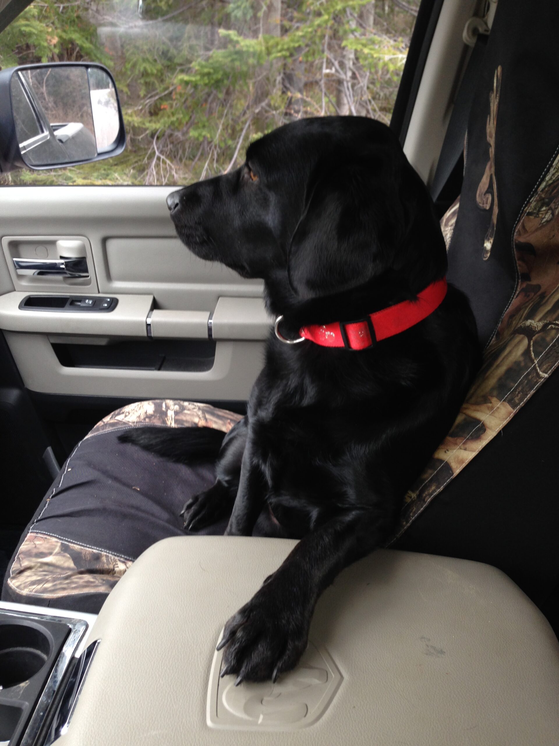 Main Gallery Display