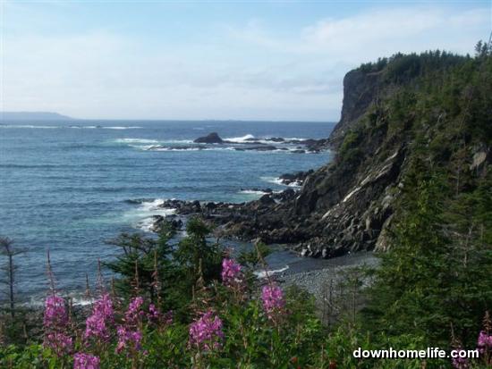 Main Gallery Display