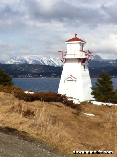Main Gallery Display