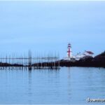 Thumbnail Preview