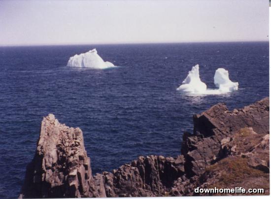 Main Gallery Display