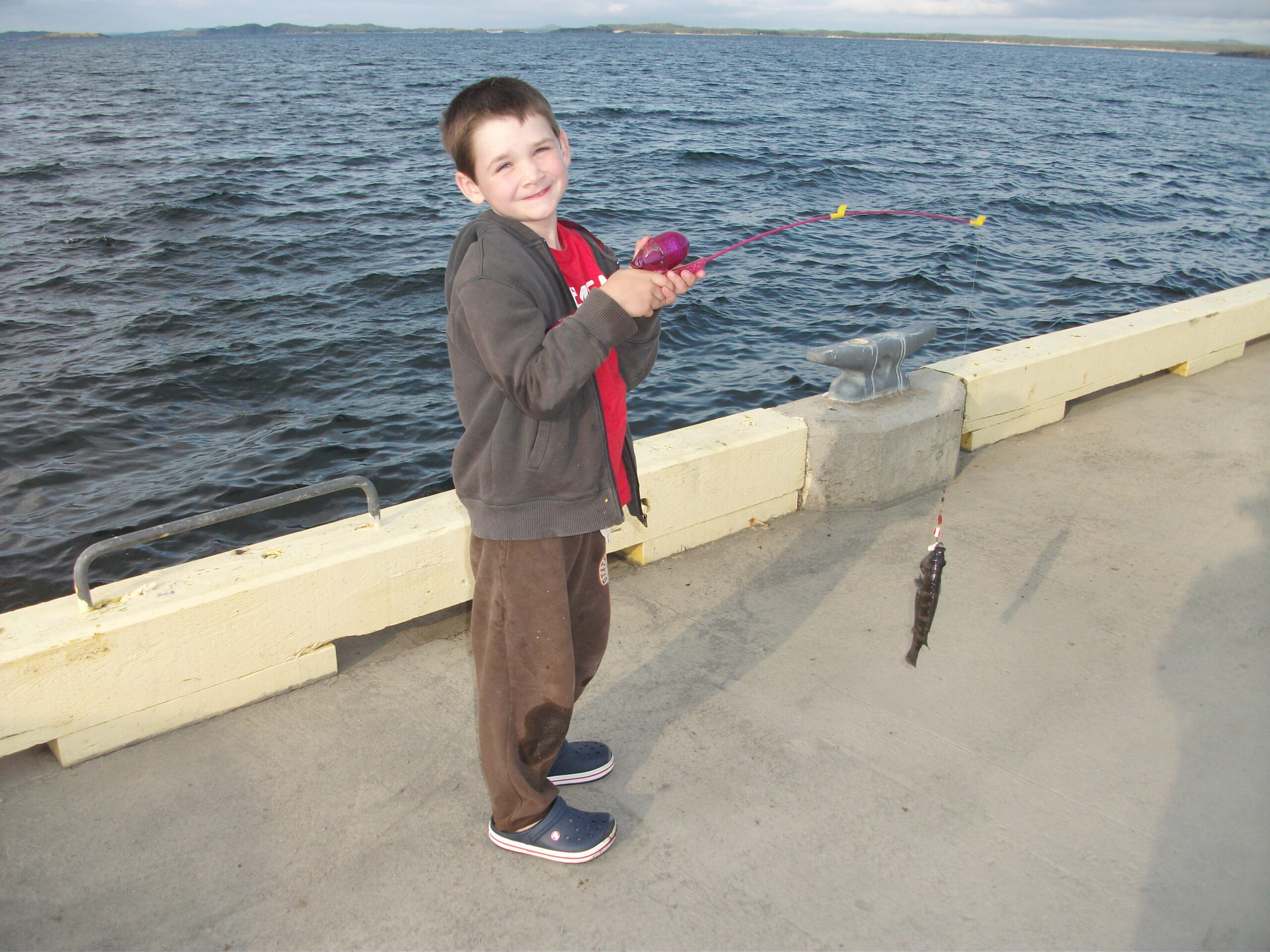Main Gallery Display
