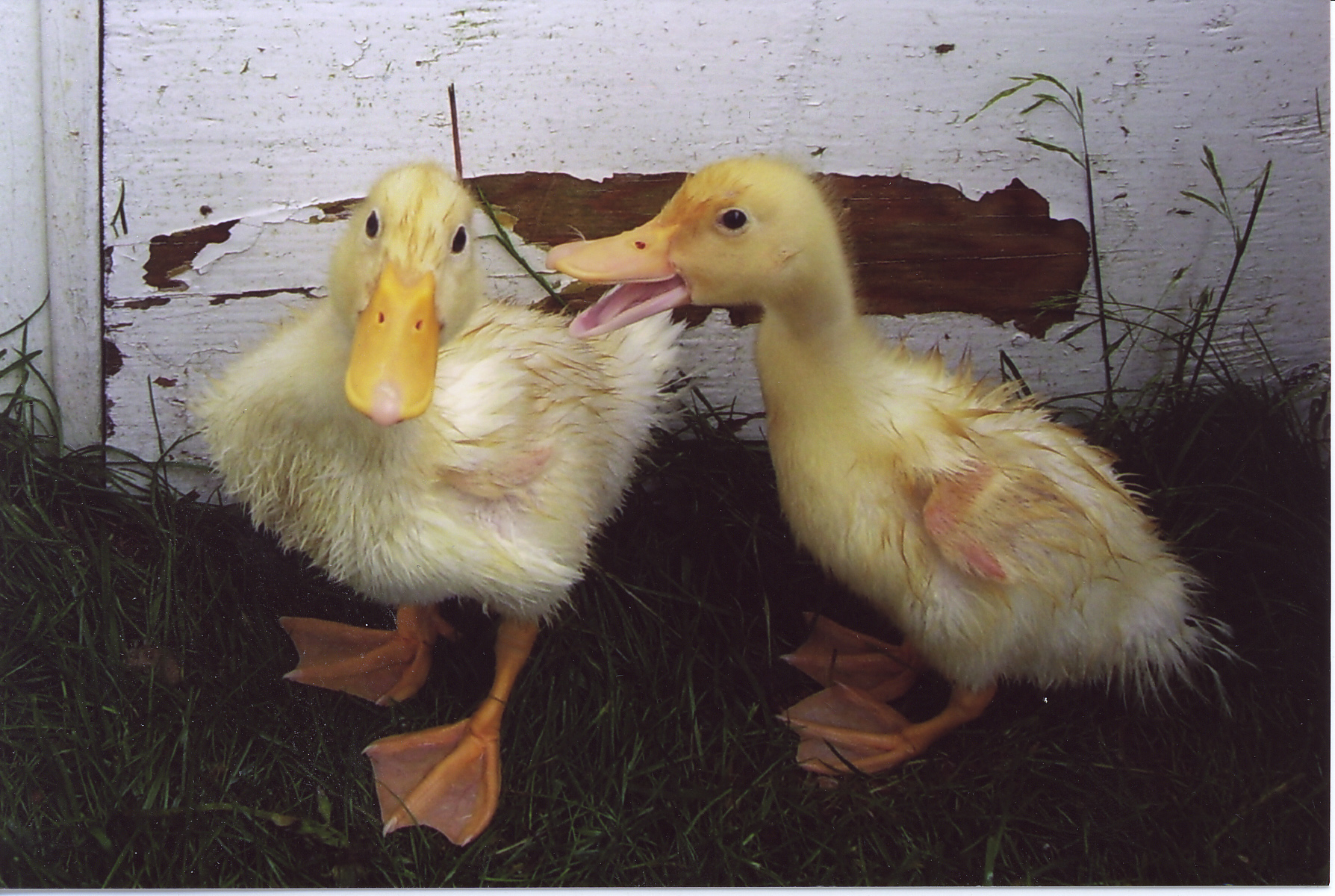 Main Gallery Display