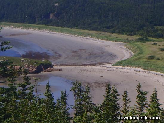 Main Gallery Display