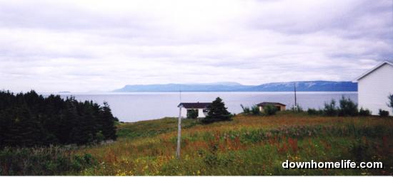 Main Gallery Display