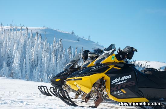 Main Gallery Display