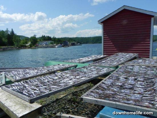 Main Gallery Display