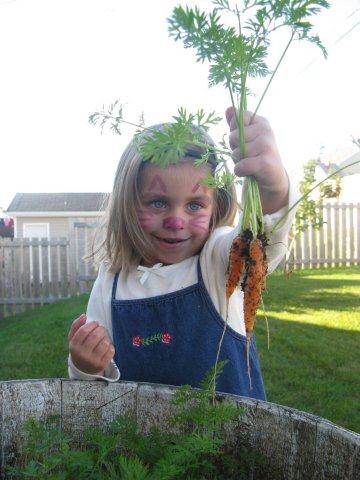 Main Gallery Display