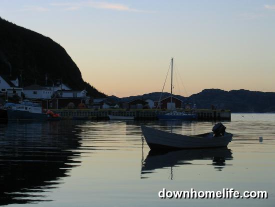 Main Gallery Display