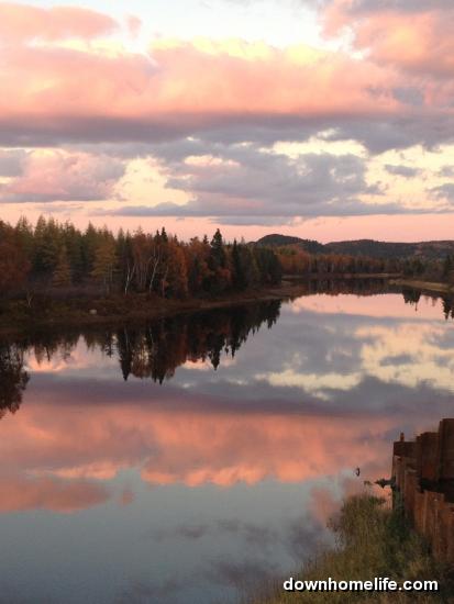 Main Gallery Display