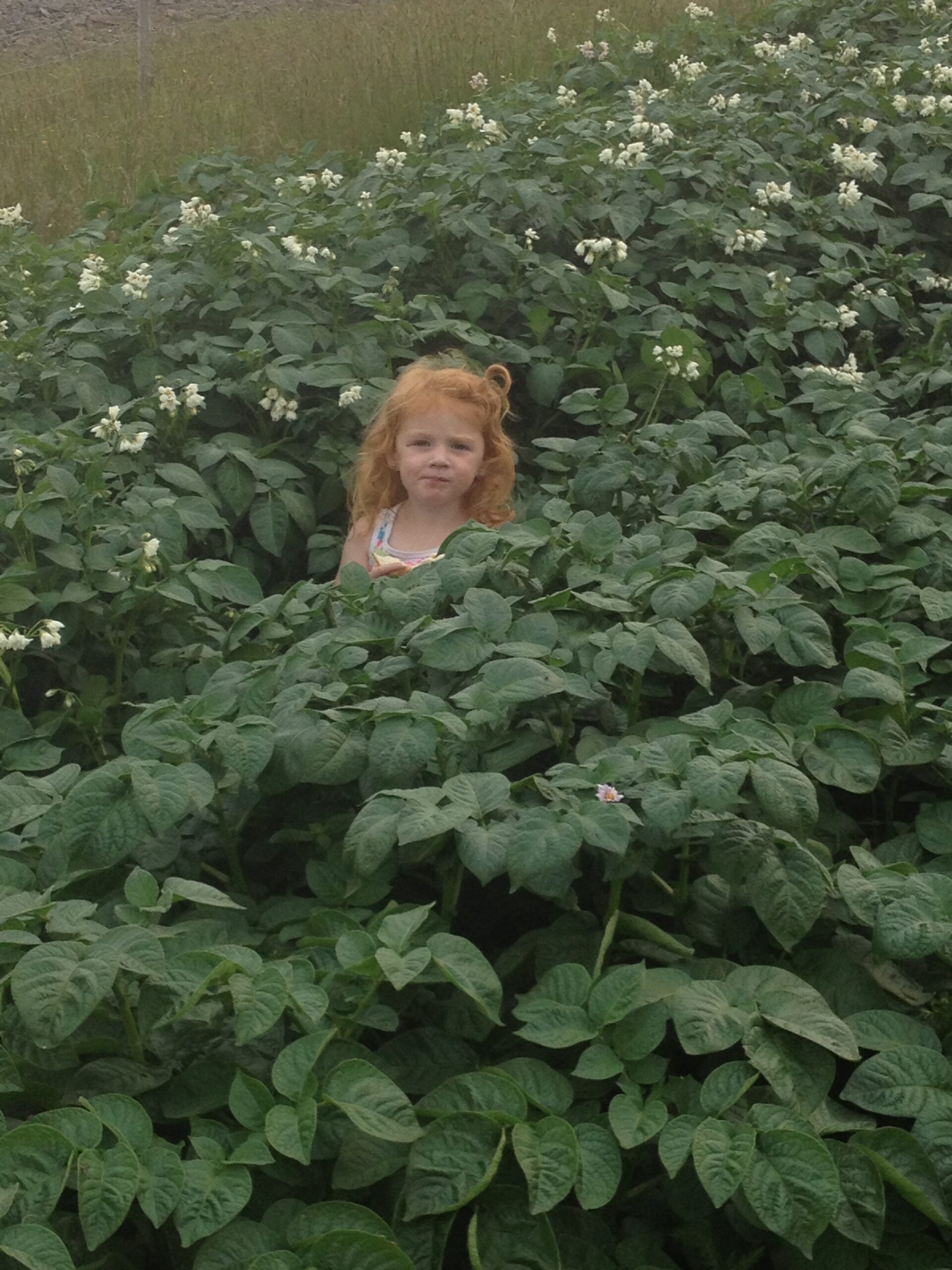 Main Gallery Display