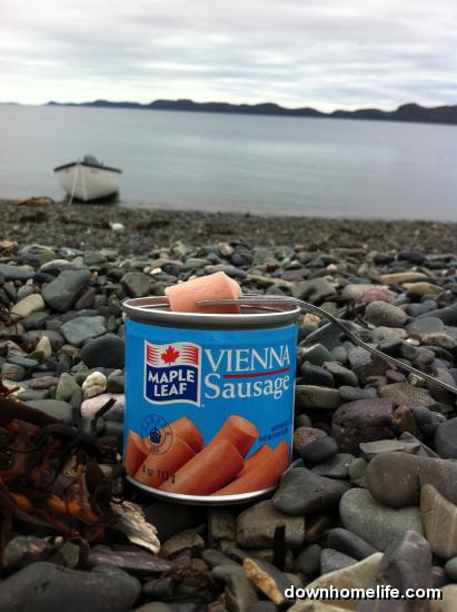 Main Gallery Display