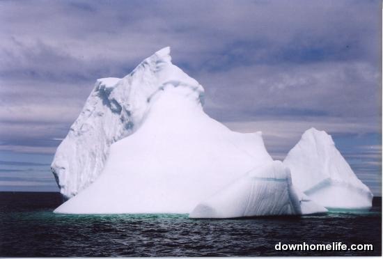 Main Gallery Display