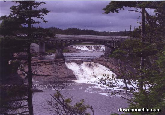 Main Gallery Display