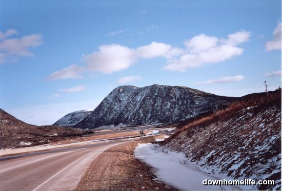Main Gallery Display