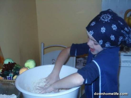 Main Gallery Display