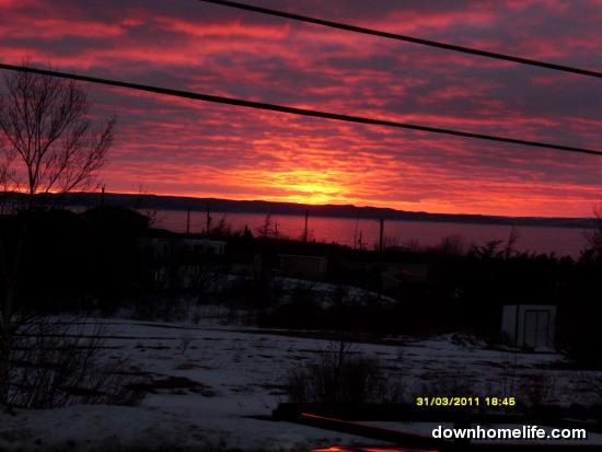 Main Gallery Display
