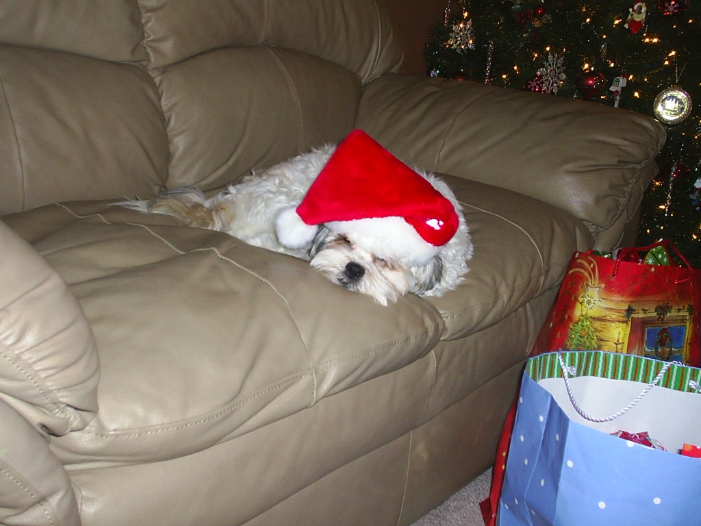 Main Gallery Display