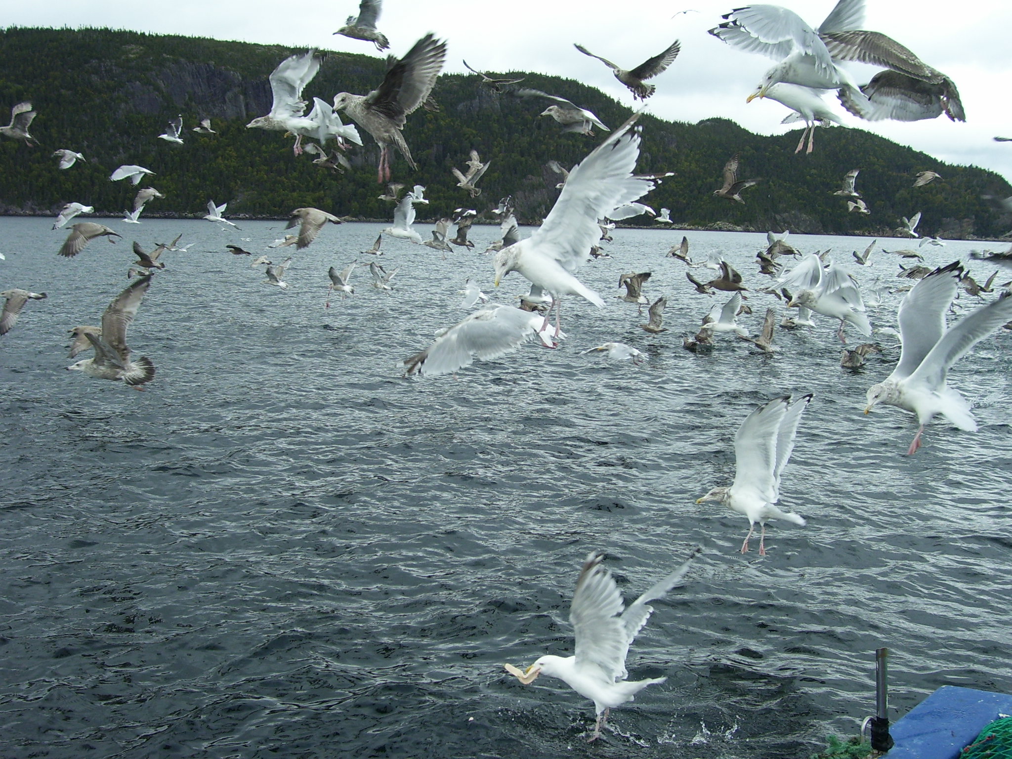 Main Gallery Display