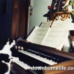Thumbnail Preview